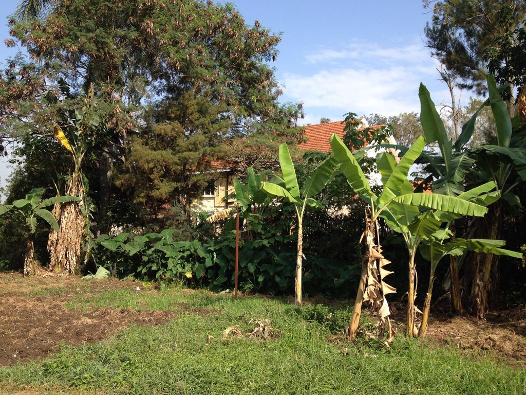 Hotel Bikeventures House Uganda Jinja Zewnętrze zdjęcie